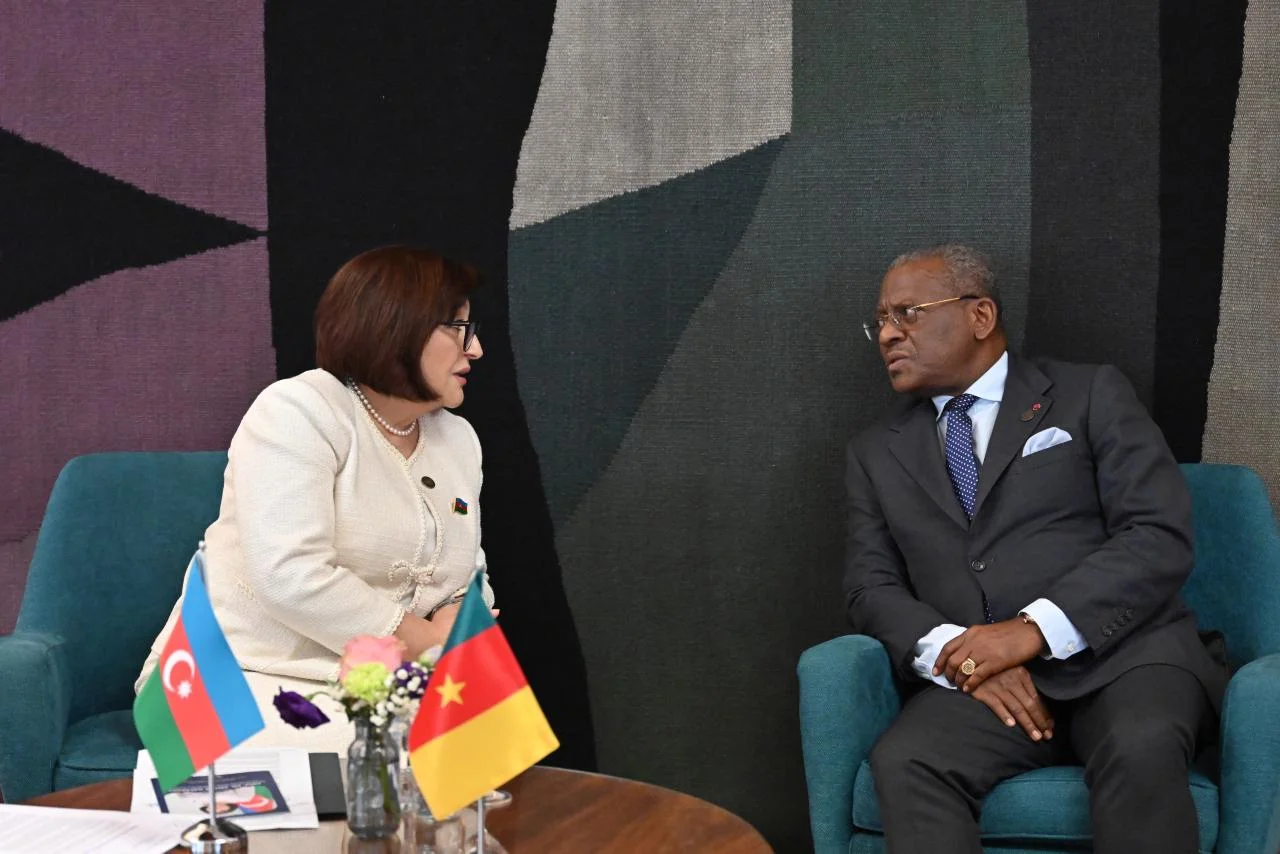 Milli Məclisin sədri Sahibə Qafarova Kamerun Respublikasının Baş naziri ilə görüşüb