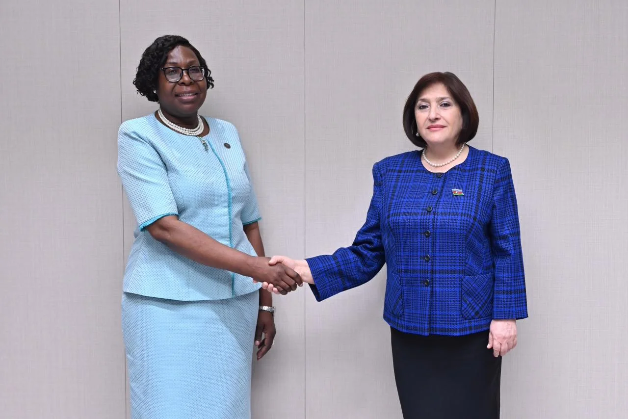 Milli Məclisin sədri Sahibə Qafarova Mozambik Respublikasının Baş naziri ilə görüşüb