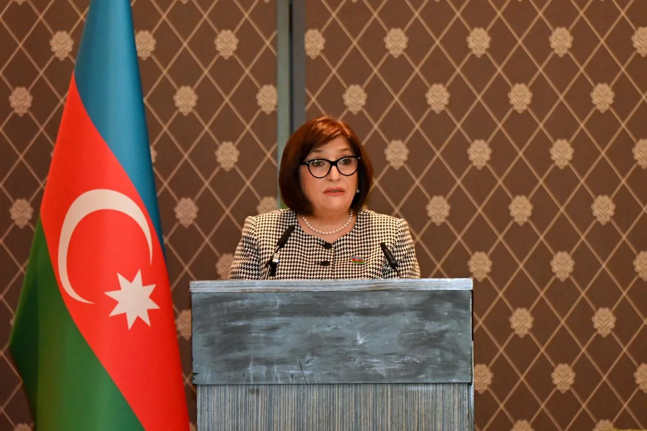 Milli Məclisin sədri Sahibə Qafarova Cenevrədə yerləşən diplomatik korpus rəhbərləri və nümayəndələri ilə görüşdə çıxış edib