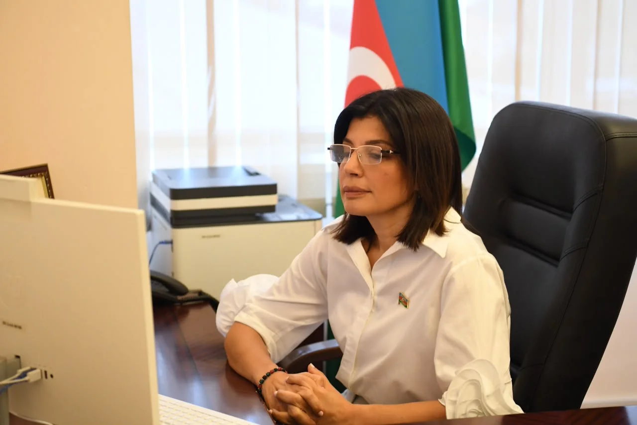 TÜRKPA-nın Təhsil, mədəniyyət, sosial və humanitar məsələlər komissiyasının onlayn iclasında