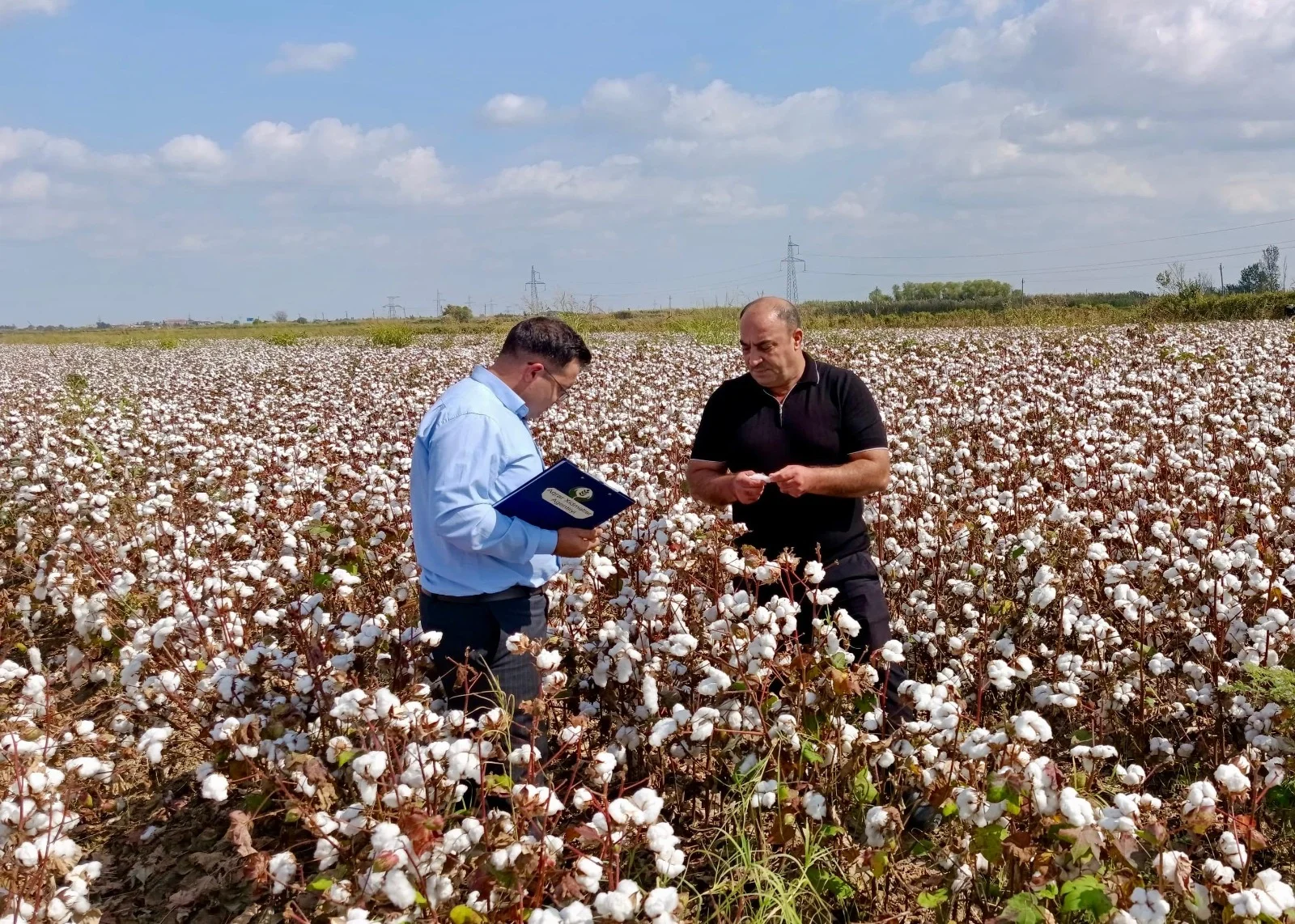Aqrar sahədə maarifləndirici tədbirlər davam etdirilir