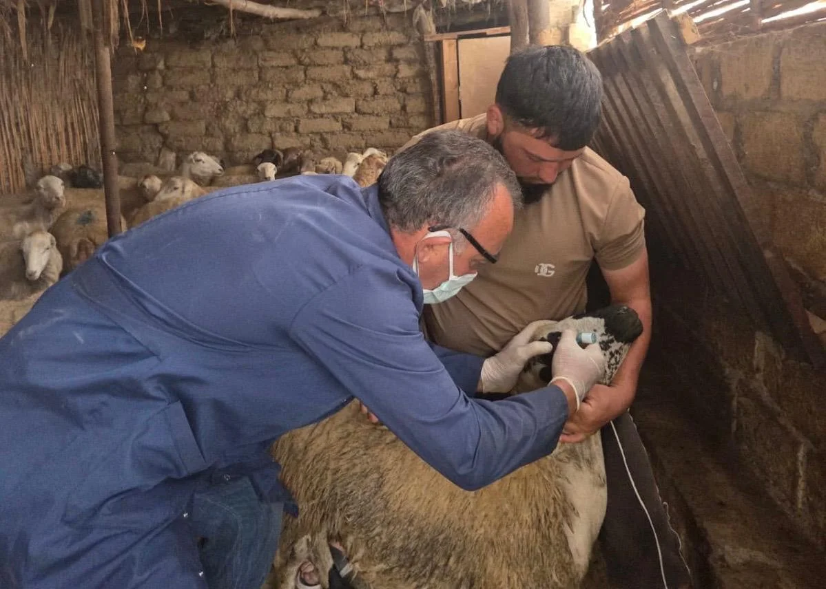 Dövlət Proqramının prioritet istiqamətləri üzrə baytarlıq xidmətlərinin gücləndirilməsi davam etdirilir